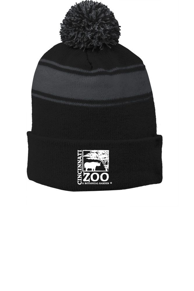 Sport-Tek Striped Pom Beanie primary image
