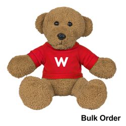 Image of Plush Teddy Bear