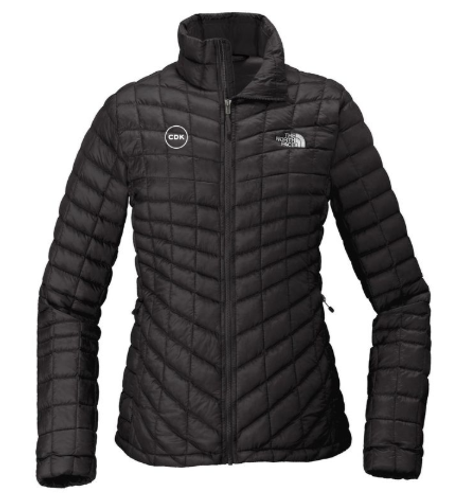 The North Face Ladies Jacket image thumbnail
