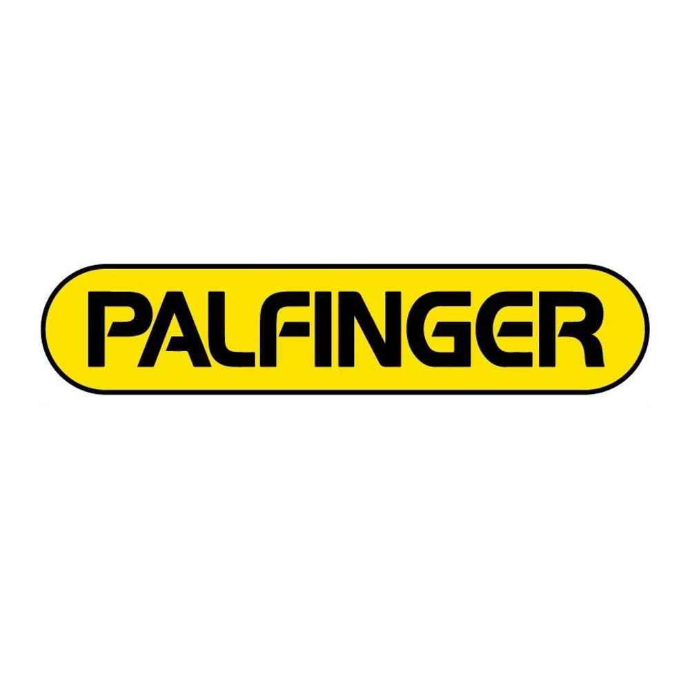 Palfinger Lapel Pin primary image
