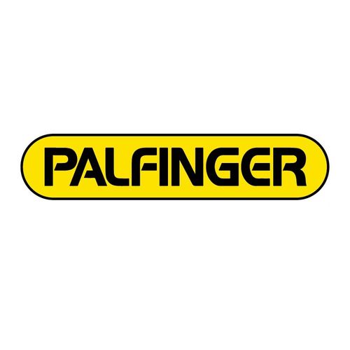 Palfinger Lapel Pin image thumbnail