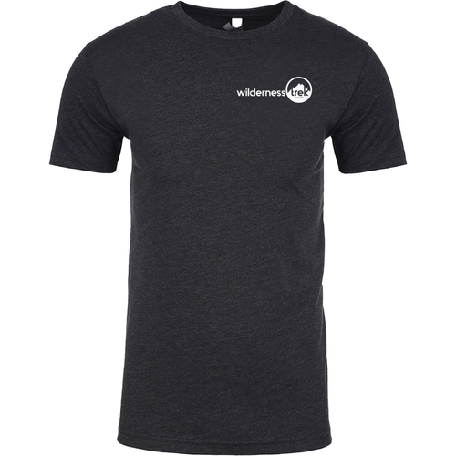 Next Level Apparel Unisex CVC Crewneck T-Shirt image thumbnail