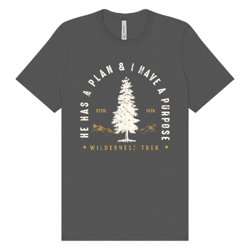 BELLA + CANVAS - Jersey Tee - He has a plan, I have a Purpose image thumbnail