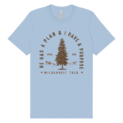 BELLA + CANVAS - Jersey Tee - He has a plan, I have a Purpose image thumbnail