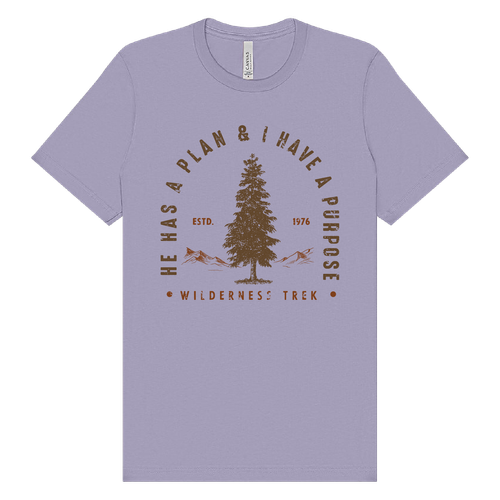 BELLA + CANVAS - Jersey Tee - He has a plan, I have a Purpose image thumbnail
