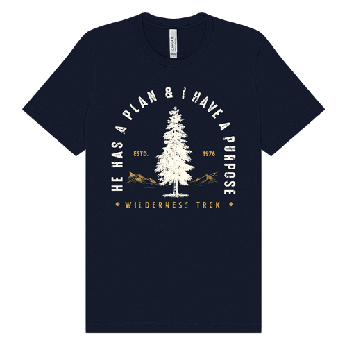 BELLA + CANVAS - Jersey Tee - He has a plan, I have a Purpose image thumbnail