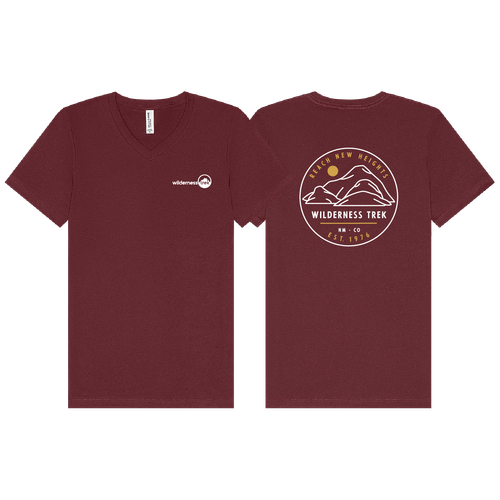 BELLA + CANVAS - Jersey V-Neck Tee - Reach New Heights Circle image thumbnail