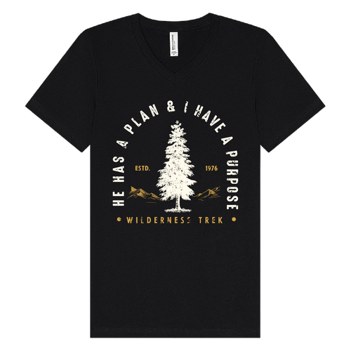 BELLA + CANVAS - Jersey V-Neck Tee - He has a plan, I have a Purpose image thumbnail