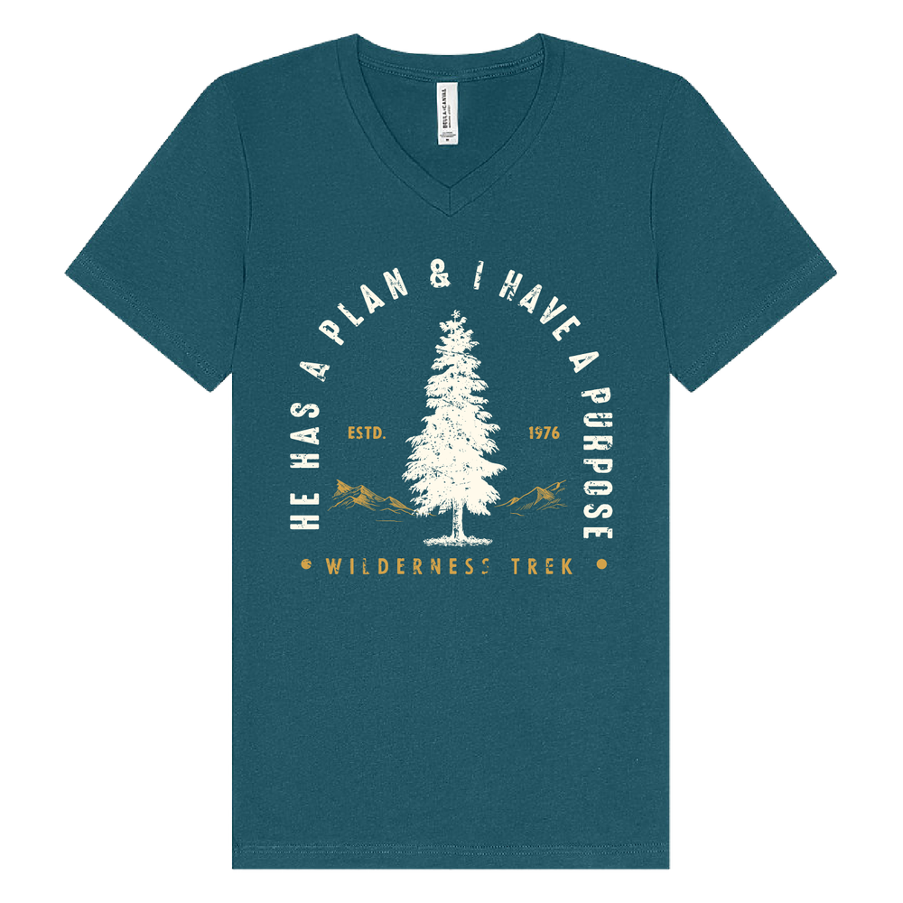 BELLA + CANVAS - Jersey V-Neck Tee - He has a plan, I have a Purpose primary image