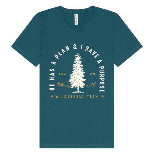 BELLA + CANVAS - Jersey V-Neck Tee - He has a plan, I have a Purpose image thumbnail