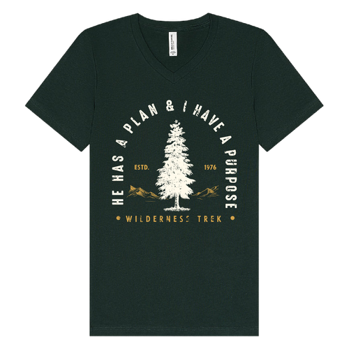 BELLA + CANVAS - Jersey V-Neck Tee - He has a plan, I have a Purpose image thumbnail