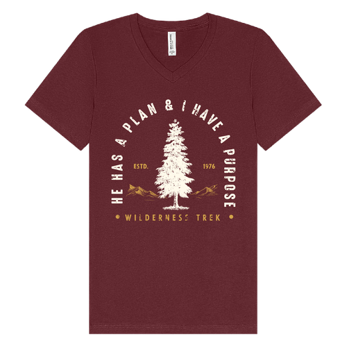 BELLA + CANVAS - Jersey V-Neck Tee - He has a plan, I have a Purpose image thumbnail