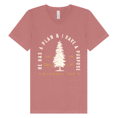 BELLA + CANVAS - Jersey V-Neck Tee - He has a plan, I have a Purpose image thumbnail