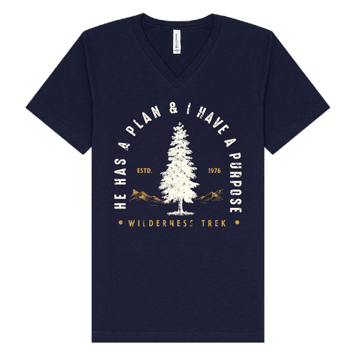BELLA + CANVAS - Jersey V-Neck Tee - He has a plan, I have a Purpose image thumbnail