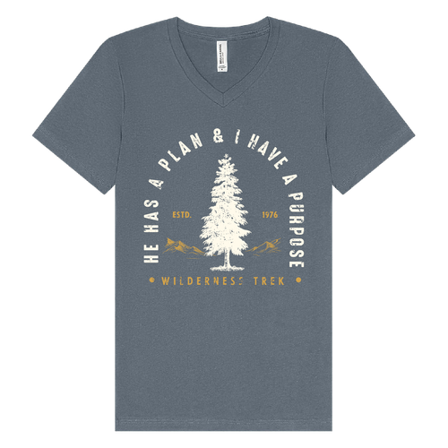 BELLA + CANVAS - Jersey V-Neck Tee - He has a plan, I have a Purpose image thumbnail