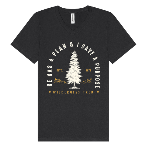 BELLA + CANVAS - Jersey V-Neck Tee - He has a plan, I have a Purpose image thumbnail