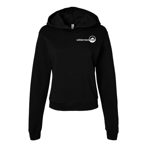 Bella + Canvas Ladies' Classic Pullover Hooded Sweatshirt image thumbnail