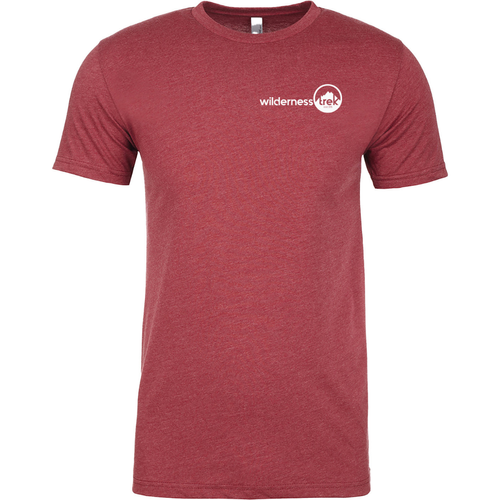 Next Level Apparel Unisex CVC Crewneck T-Shirt image thumbnail