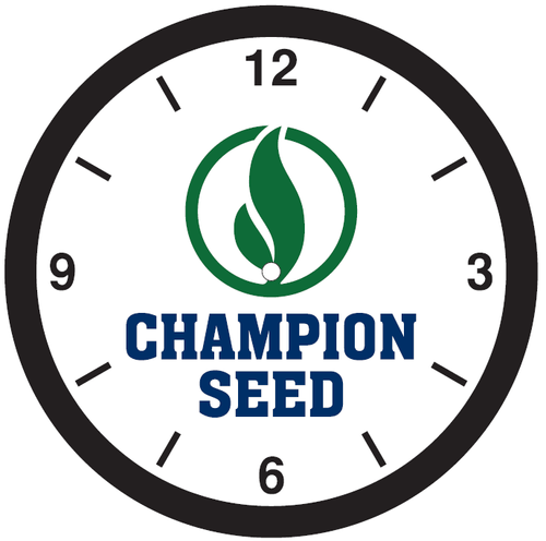 12" Oversized Wall Clock image thumbnail