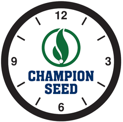 Image of 12" Oversized Wall Clock