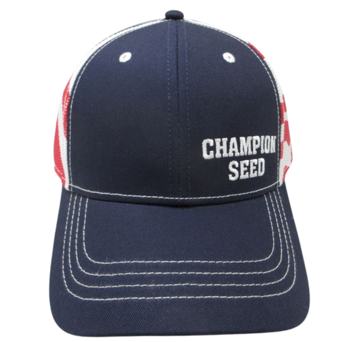 Navy Chino Twill Flag Cap image thumbnail