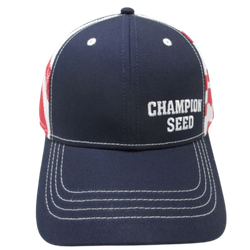 Image of Navy Chino Twill Flag Cap