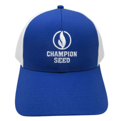 Image of Royal Cotton Twill Cap