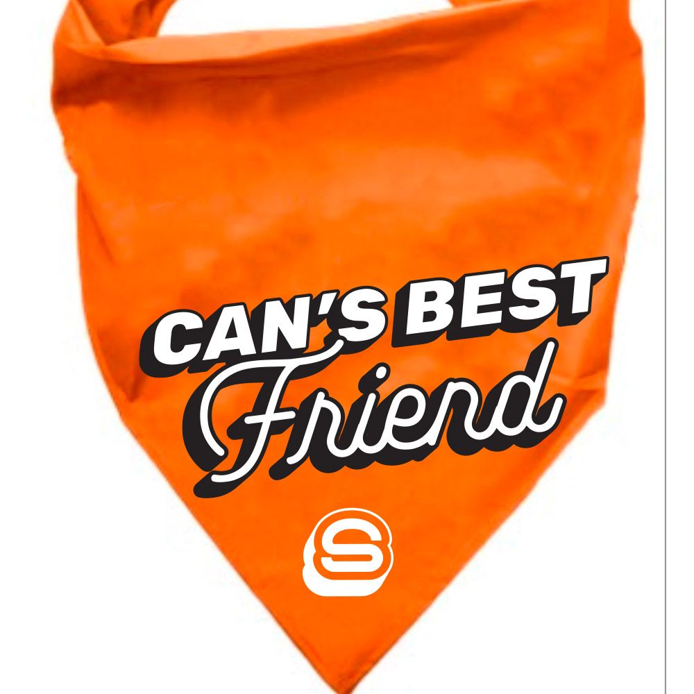 Dog Bandana primary image