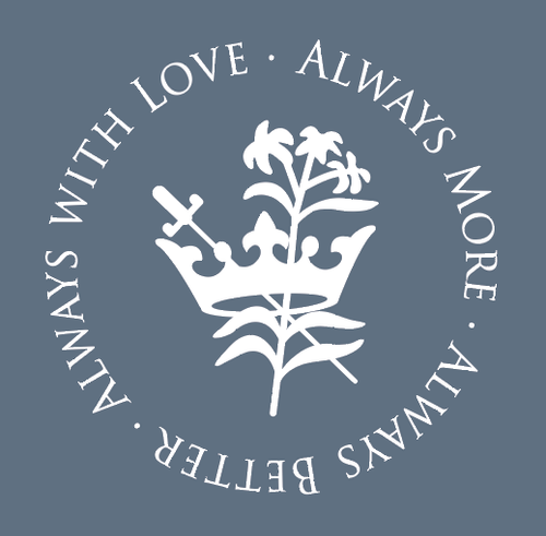 Always Villa Unisex Gildan CVC Long Sleeve  image thumbnail