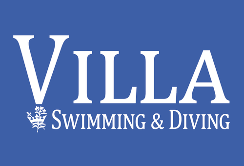 Unisex Gildan Softstyle Crewneck Swimming image thumbnail