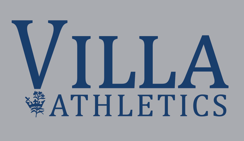 Unisex Gildan Softstyle Crewneck Softball image thumbnail