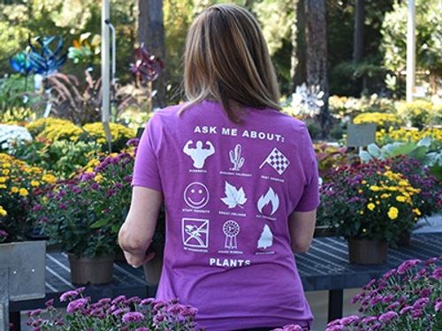 Lightweight Women's Tee  image thumbnail