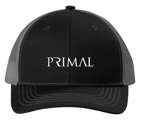 Youth Snapback Trucker Cap  image thumbnail