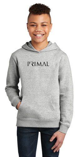 District Youth V.I.T. Fleece Hoodie image thumbnail