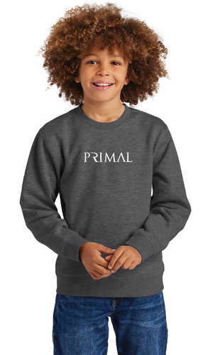 District Youth V.I.T. Fleece Crew image thumbnail