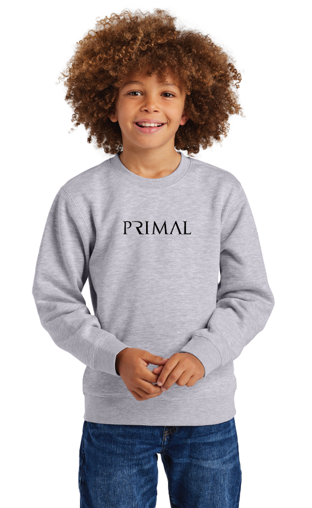 District Youth V.I.T. Fleece Crew primary image