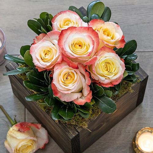 Olive & Cocoa – Sonora Bouquet image thumbnail