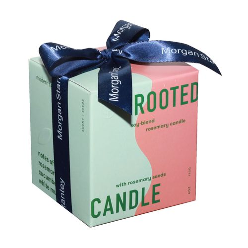 Modern Sprout Rooted Candle image thumbnail