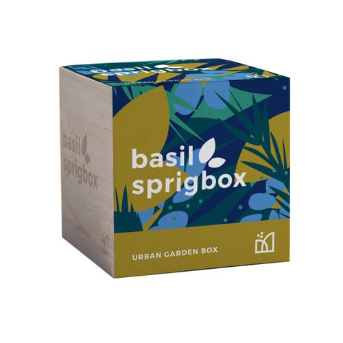 Sprigbox Basil Grow Kit image thumbnail