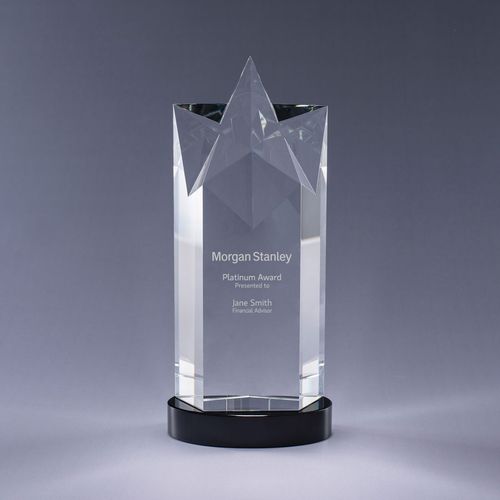 Rising Star Award image thumbnail