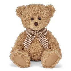 Image of Theodore the Teddy Bear