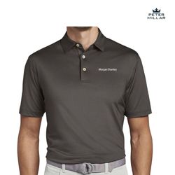 Image of Peter Millar Solid Performance Polo - Grey