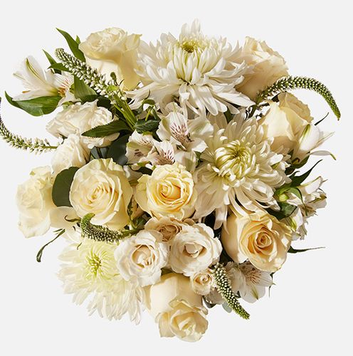 UrbanStems Peace image thumbnail