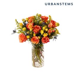 Image of UrbanStems Firecracker