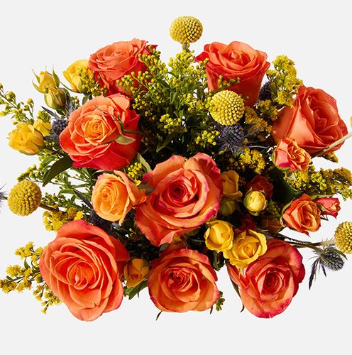UrbanStems Firecracker image thumbnail