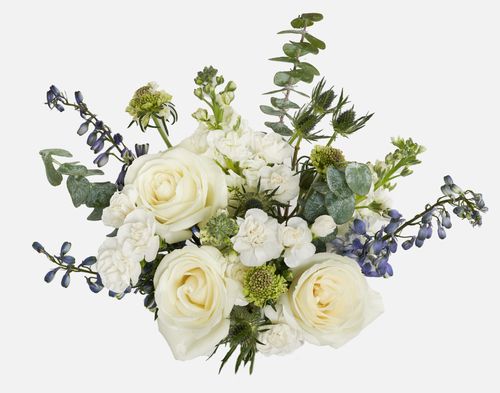 UrbanStems Crisp Breeze image thumbnail