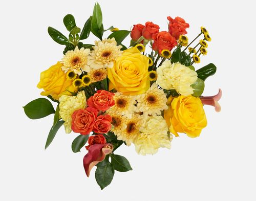UrbanStems Hayride  image thumbnail