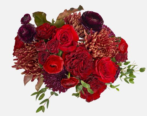 UrbanStems Cabernet image thumbnail