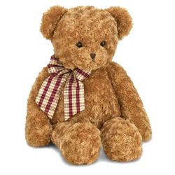 Image of Wuggles the Teddy Bear