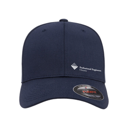 Image of Flex Fit Full Back Cap
